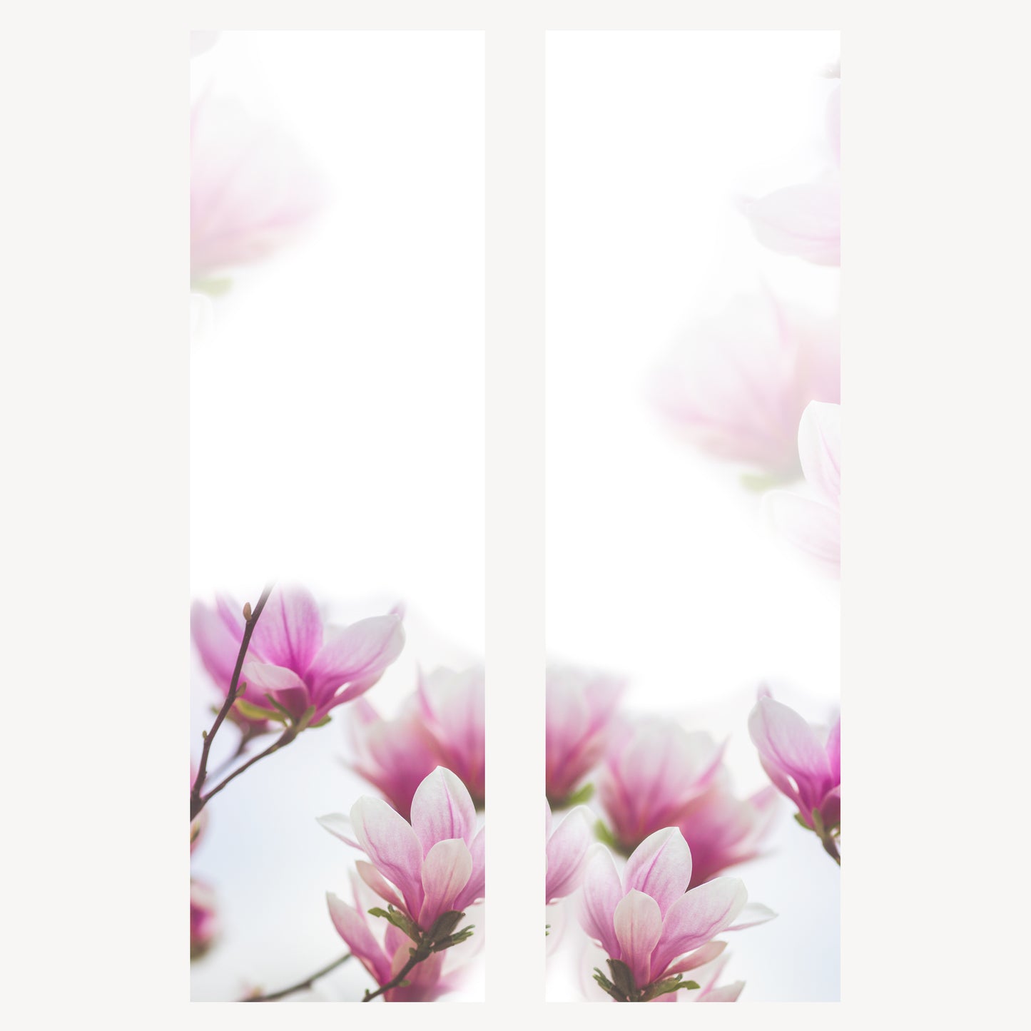 Trauerschleife Magnolie – Individuell bedruckbar | M4