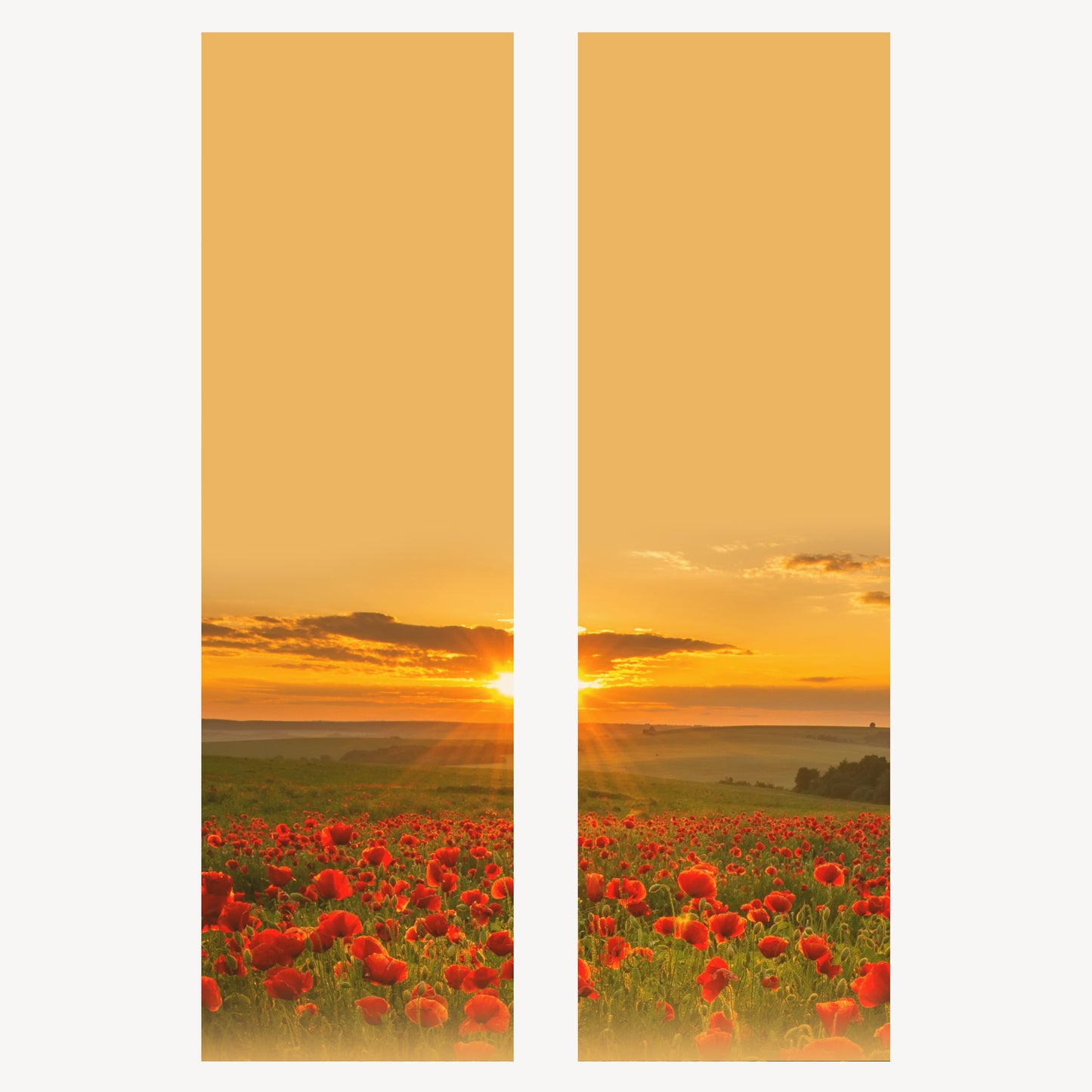 Trauerschleife Mohnblumenfeld Sonnenuntergang – Individuell bedruckbar | M19